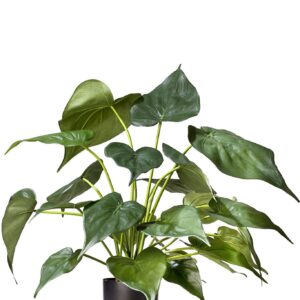 Kunstplant Alocasia 51 cm
