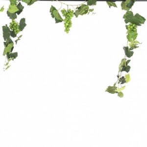 Druiven guirlande brandvertragend 186 cm