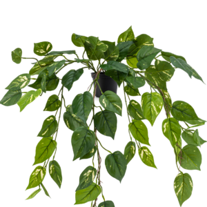 Kunst hangplant Pothos 70 cm