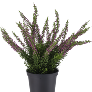 Kunstplant Erica in pot 30 cm