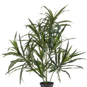 Kunstplant Dracaena Reflexa in pot 63 cm