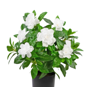 Kunstplant Gardenia 39 cm wit