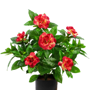 Kunstplant Gardenia 39 cm fuchsia