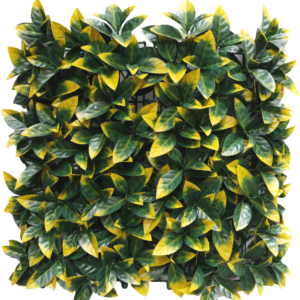 Kunsthaag Photonia geel 50x50 cm UV