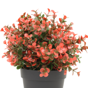 Kunstplant Buxus rood in pot UV