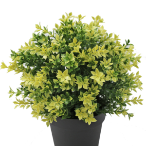 Kunstplant Buxus geel 22 cm UV