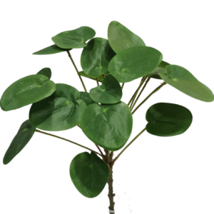 Kunst Pannenkoekplant 50 cm