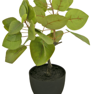 Kunst Tropica Ficus 12 cm in sierpot zwart