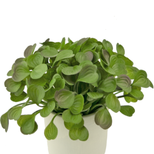 Kunst vetplant 22 cm