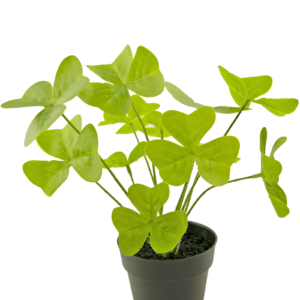 Kunstplant Clover 30 cm in sierpot zwart