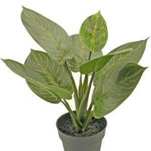 Kunstplant Rohdea 34 cm in sierpot zwart