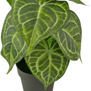 Kunstplant Watermeloen 29 cm