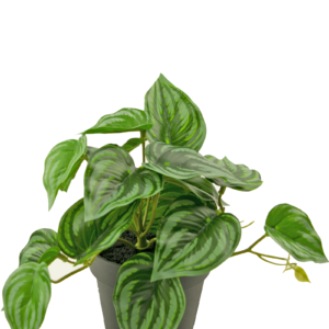 Kunstplant Watermeloen 25 cm