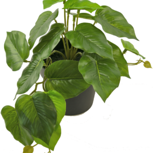 Kunstplant Scindapsus 25 cm