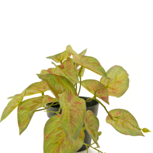 Kunstplant Scindapsus 25 cm