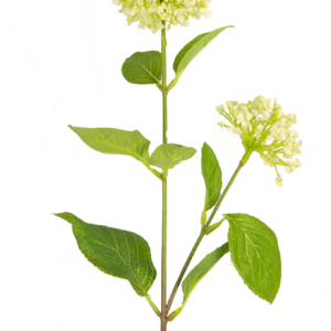 Kunstbloem Sneeuwbal/Viburnum 70 cm wit