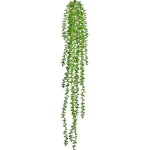 Kunst hangplant Senecio 91 cm
