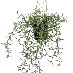 Kunst hangplant Senecio met pot 35 cm