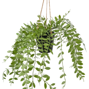 Kunst hangplant Pumila in pot 30 cm