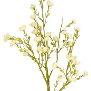 Kunstbloem Wild Waxflower 85 cm crème