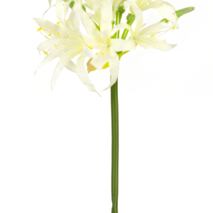 Kunstbloem Nerine 70 cm wit
