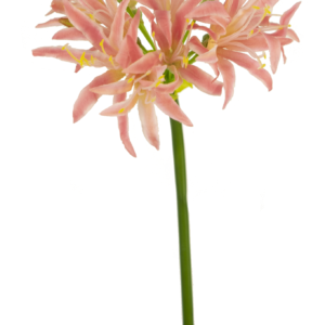 Kunstbloem Nerine 70 cm roze