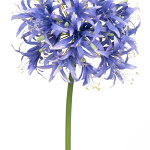 Kunstbloem Nerine 70 cm paars