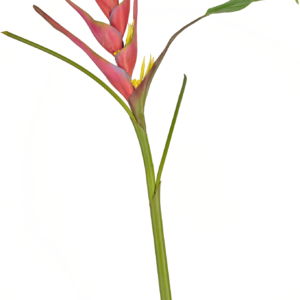 Kunstbloem Heliconia 90 cm fuchsia