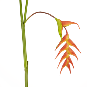 Kunstbloem Heliconia 120 cm rood