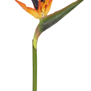 Kunstbloem Strelitzia 80 cm rood/paars