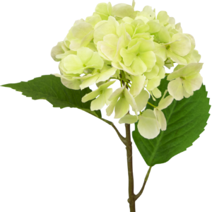 Kunst Hortensia Deluxe 55 cm groen