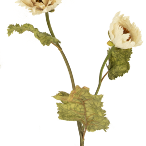 Kunstbloem Poppy Queen 75 cm crème