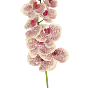 Kunst Orchidee Real Touch Deluxe 105 cm fuchsia/wit