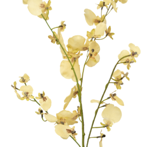 Kunsttak Orchidee 80 cm beige