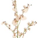 Kunsttak Orchidee 80 cm roze