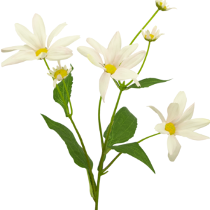 Kunstbloem Margriet 60 cm wit/roze