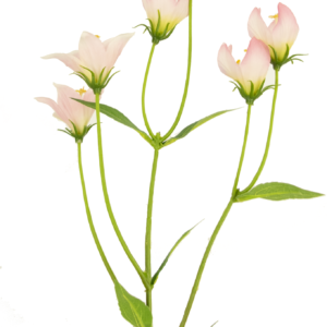 Kunstbloem Aster 60 cm roze