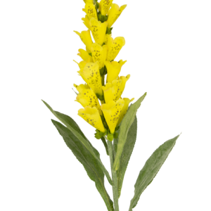 Kunstbloem Vingerhoedskruid 90 cm geel