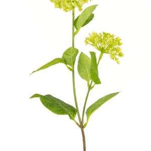 Kunstbloem Sneeuwbal/Viburnum 70 cm groen