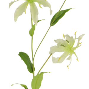 Kunstbloem Gloriosa 81 cm wit