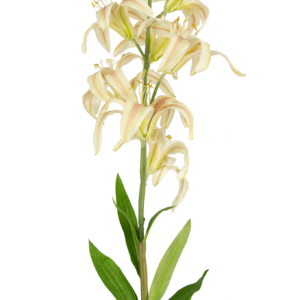 Kunstbloem Martagon Lelie 78 cm roze