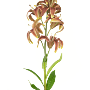 Kunstbloem Martagon Lelie 78 cm fuchsia