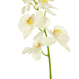 Kunstbloem Orchidee 84 cm wit
