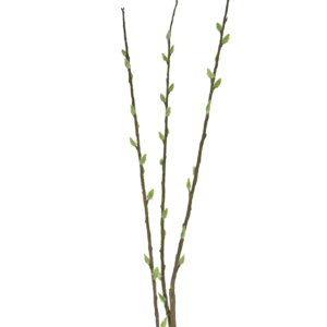 Kunstbloem Salix willow 70 cm