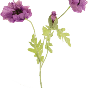 Kunstbloem Poppy 73 cm lila