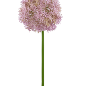 Kunstbloem Allium Groot 80 cm paars