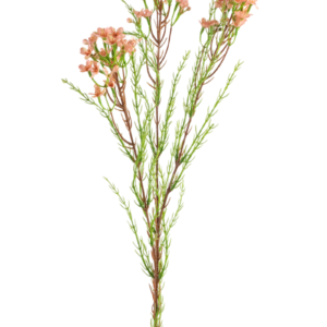 Kunsttak Waxflower 78 cm roze