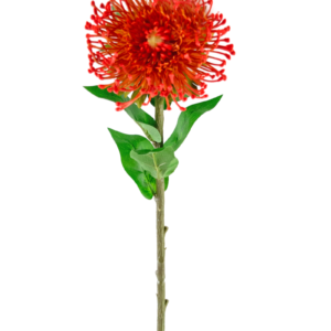 Kunstbloem Protea 73 cm rood