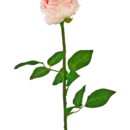 Kunstbloem Roos Klassiek 54 cm licht roze
