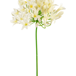Kunstbloem Agapanthus 75 cm wit
